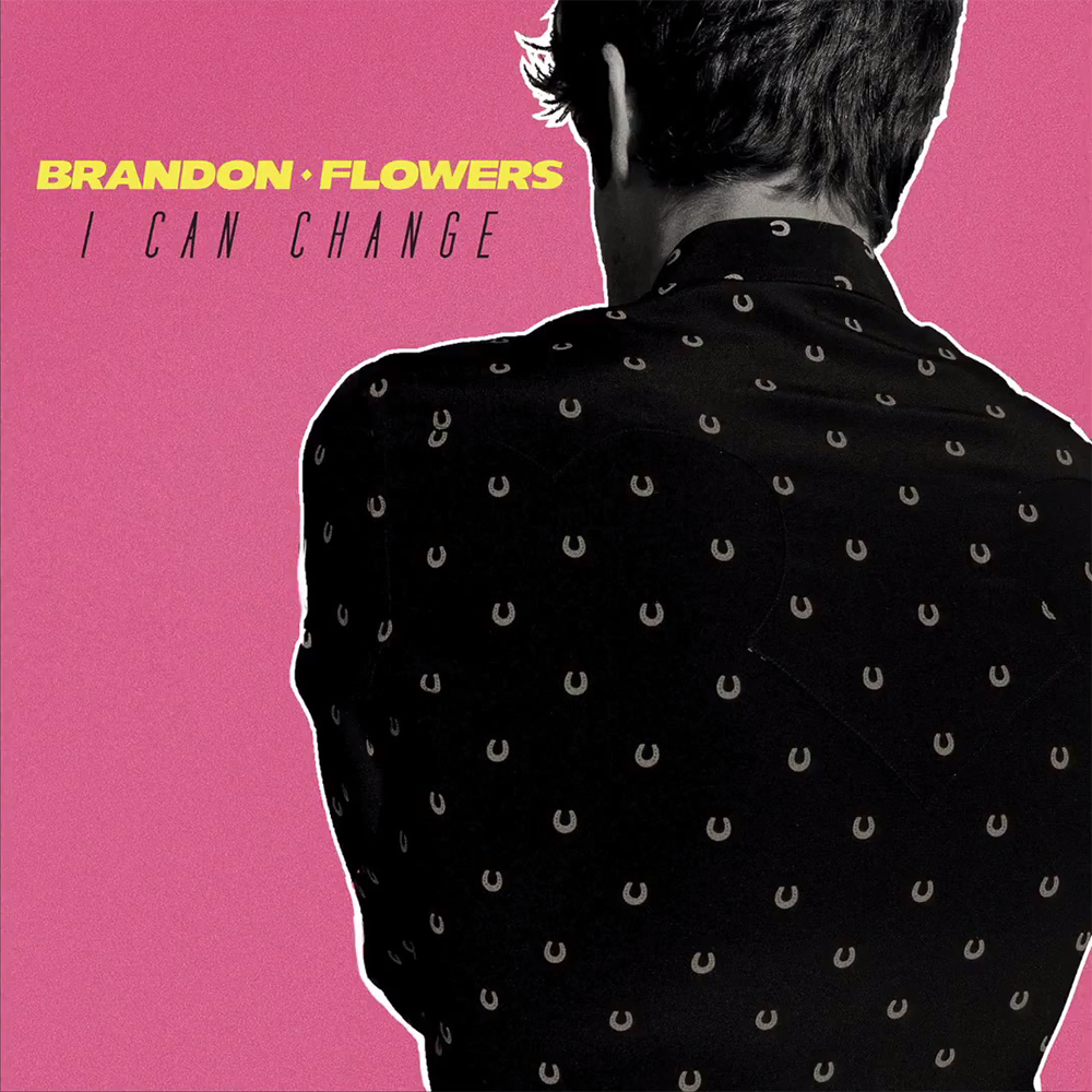 brandon flowers - i can change