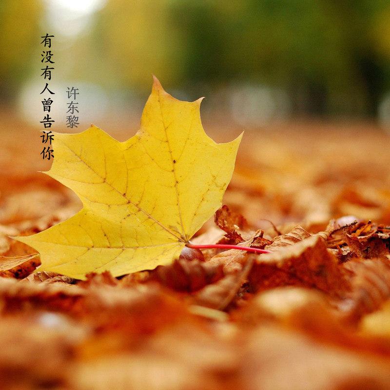 有没有人曾告诉你