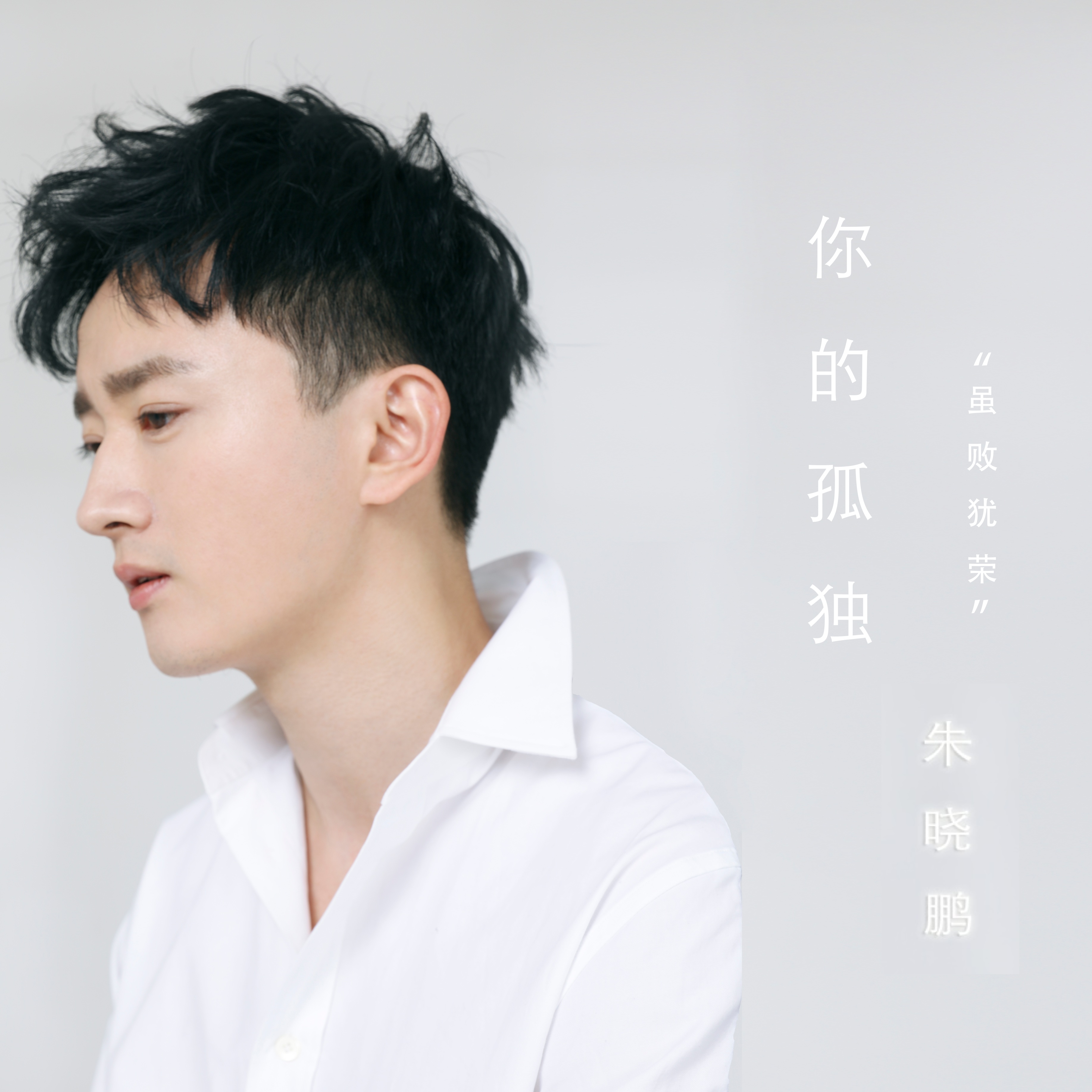 朱晓鹏 - 你的孤独