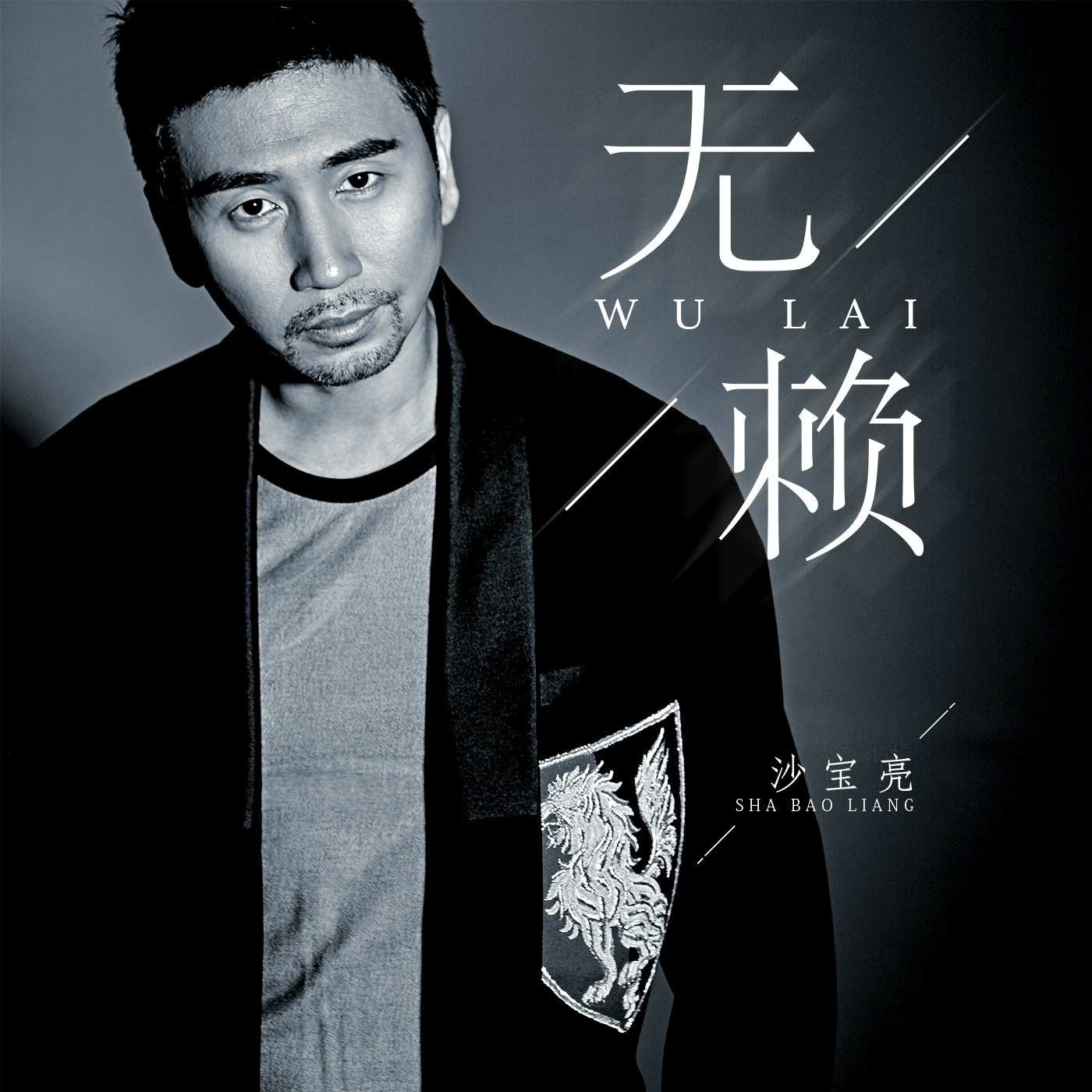 沙宝亮 - 无赖