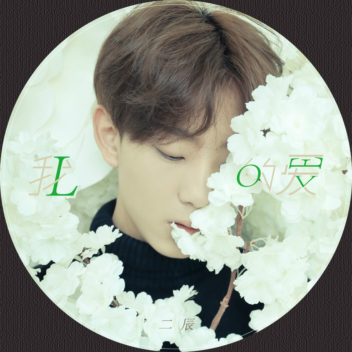 的爱_二辰__高音质在线试听_我的爱歌词|歌曲下载