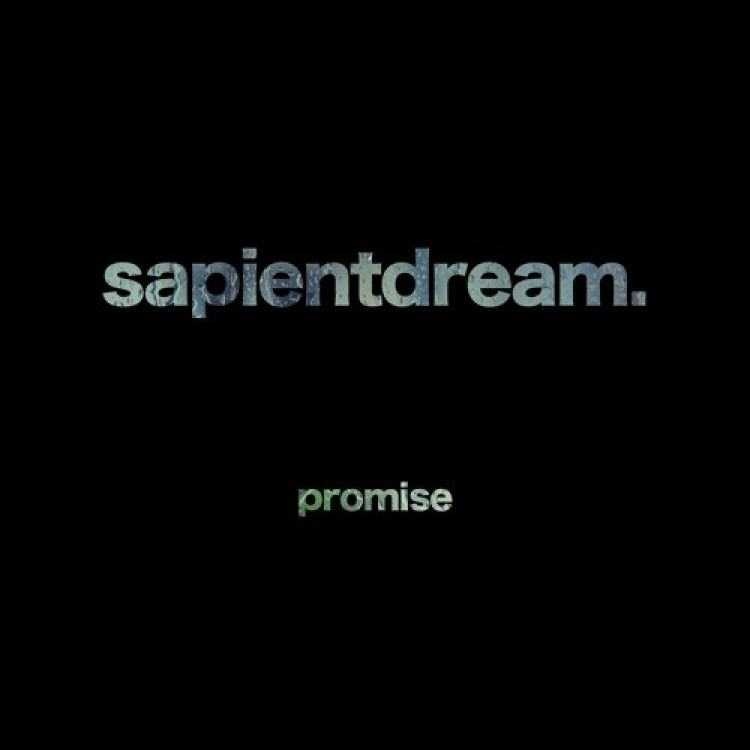 promise_thesapientdream__高音质在线试听_promise