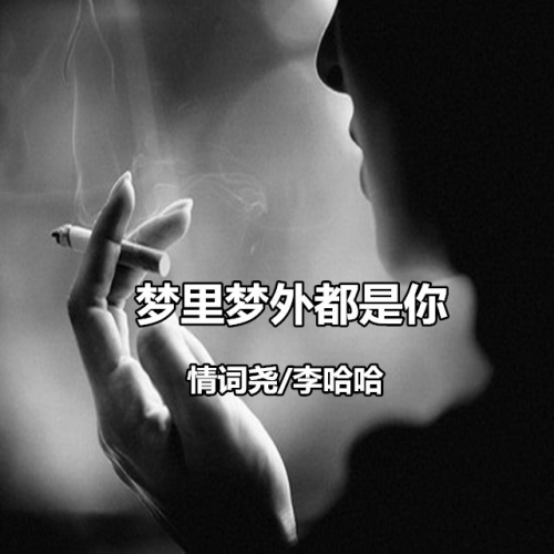 情词尧,李哈哈 - 梦里梦外都是你