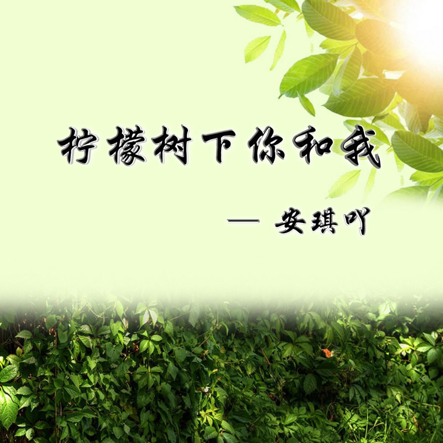 柠檬树下你和我