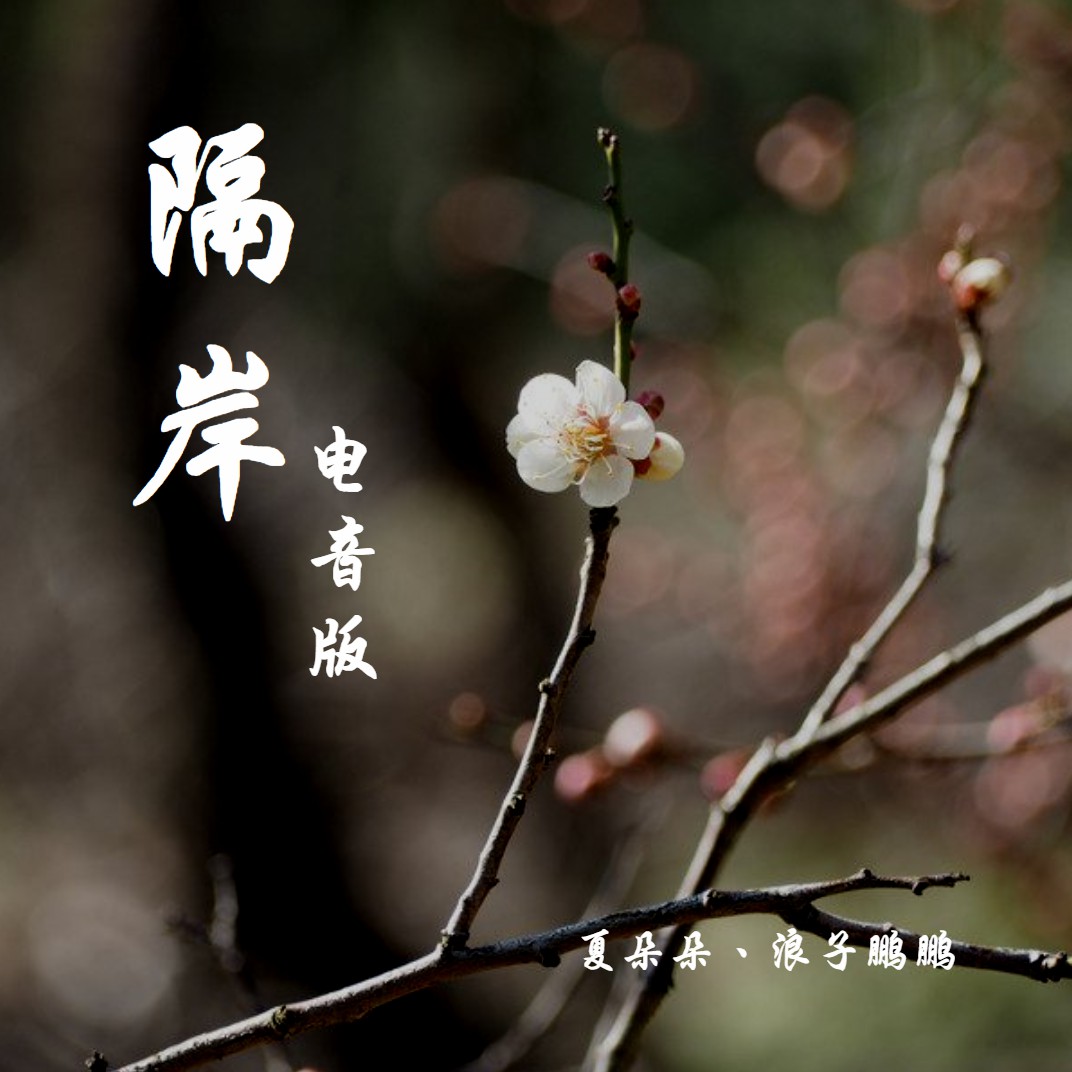 朵朵_dj老鹏__高音质在线试听_隔岸歌词|歌曲下载_隔