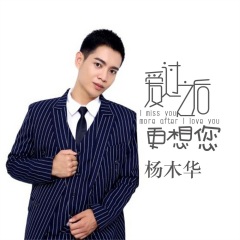 杨木华