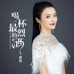 专辑名: 喝一杯最烈的酒(dj何鹏版) 歌手: 唐薇 发行时间: 2020-09