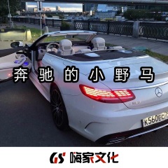 神仙哥哥,dj阿金,安浩凯,沐羽曦_奔驰的小野马_专辑_乐库频道_酷狗网