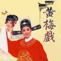 黄梅戏 - 谁料皇榜中状元选段:女驸马