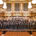 Vienna Philharmonic Orchestra《拉德茨基进行曲》