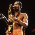 Fela Kuti - Water No Get Enemy