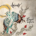 Amarante - Hallucination