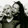 Skunk Anansie、Paul Woolford、Skin - Weak