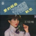 王晓晴 - 你在我心中