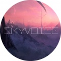 Skyvoice - A Maine State Of Mind