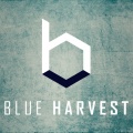 Blue Harvest - Falling Leaves