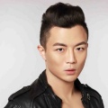 洪亦平 - 新出师表