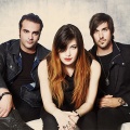 Sick Puppies - Black