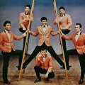 The Fabulous Echoes《Hippy Hippy Shake》