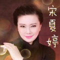 宋夏婷《爱恨情愁几时休》