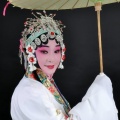 凤立沉香 - 【盘夫索夫】选段：自幼儿生长在宰相家