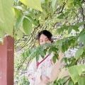 银霄《窃蓝》