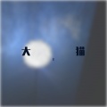大猫《请先说你好》