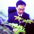 毕晓东菩提、曹梦琳《像莲花般的女人》