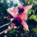 曹楷《春夏秋冬的你》