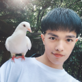左林昊《Forever Young》