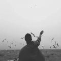 张什么晟《左耳》