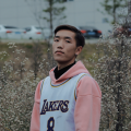沙马拉者《星星照亮回家的路》