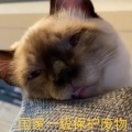 是厘厘吖《无法直视》