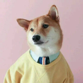 吱小吱《多情岸》