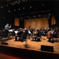 the new symphony orchestra of london、Donald Adams、The D’Oyly Carte Opera Company、Isidore Godfrey《Who are you, sir?》