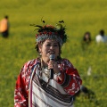 温梅桂《乌来山下一朵花》
