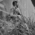 小余同学 - 这就是爱