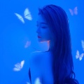 i冉冉i《玫瑰》