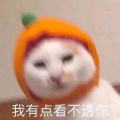 瓜了个子 - 瓜了个子创作的原声