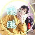 鹏鹏《三年二班》