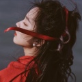 阿丹丹丹 - 枯叶蝶