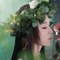 气质子夏 - 喜欢你