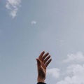 小猪佩奇锤死你《把孤独当作晚餐》
