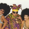 King Africa - Salta