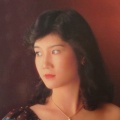 杨小菁 - 烽火情仇