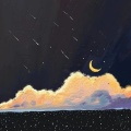 陈宁《心语星愿》