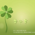幸运草《暗号》