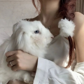 小白白《如果可以》