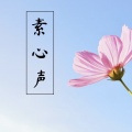 素心声 - 禅思 Thinking About