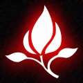 火花《我比从前更寂寞》